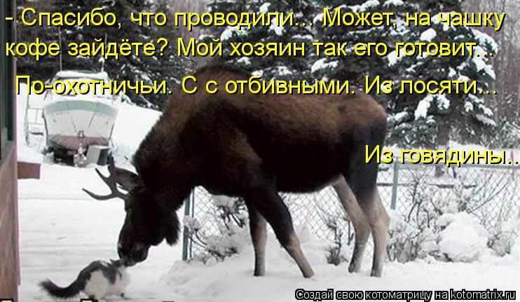- Спасибо, что проводили... Может, на чашку кофе зайдёте? Мой хозяин так его готовит... По-охотничьи.... Котоматрица: - Спасибо, что проводили... Может, на чашку кофе зайдёте? Мой хозяин так его готовит... По-охотничьи. С с отбивными. Из лосяти... Из говядины...