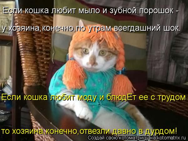 Если кошка любит мыло и зубной порошок - у хозяина,конечно,по утрам всегдашний шок. то хозяина,конечн... Котоматрица: Если кошка любит мыло и зубной порошок - у хозяина,конечно,по утрам всегдашний шок. то хозяина,конечно,отвезли давно в дурдом! Если кошка люб