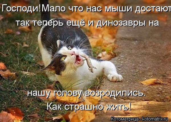 Господи!Мало что нас мыши достают, так теперь ещё и динозавры на нашу голову возродились. Как страшн... Котоматрица: Господи!Мало что нас мыши достают, так теперь ещё и динозавры на нашу голову возродились. Как страшно жить!