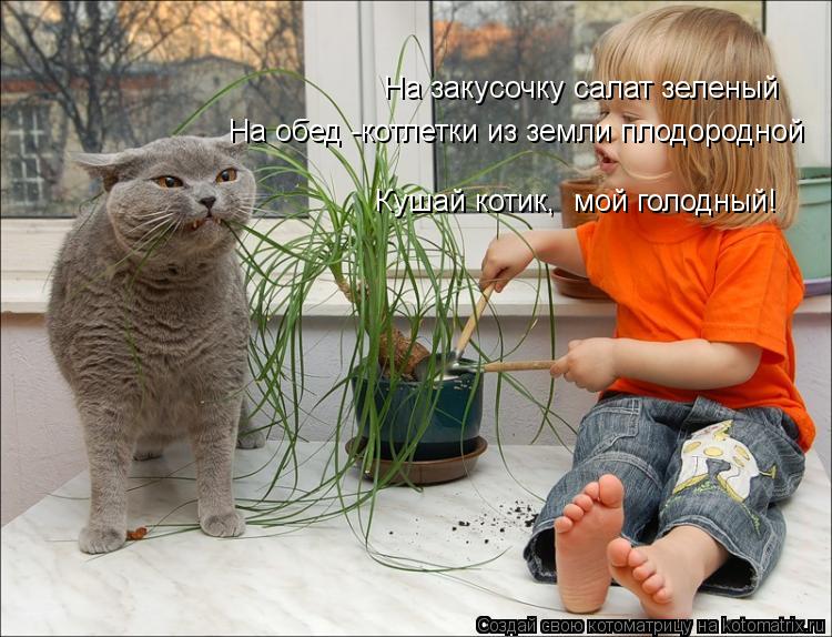 На закусочку салат зеленый На обед -котлетки из земли плодородной Кушай котик, мой голодный!... Котоматрица: На закусочку салат зеленый На обед -котлетки из земли плодородной Кушай котик, мой голодный!