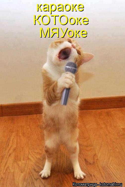 караоке КОТОоке МЯУоке... Котоматрица: караоке КОТОоке МЯУоке