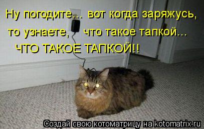 Ну погодите… вот когда заряжусь, то узнаете, что такое тапкой… то узнаете, что такое тапкой… ЧТ... Котоматрица: Ну погодите… вот когда заряжусь, то узнаете, что такое тапкой… то узнаете, что такое тапкой… ЧТО ТАКОЕ ТАПКОЙ!!