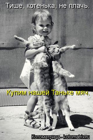 Тише, котенька, не плачь. Купим нашей Таньке мяч.... Котоматрица: Тише, котенька, не плачь. Купим нашей Таньке мяч.