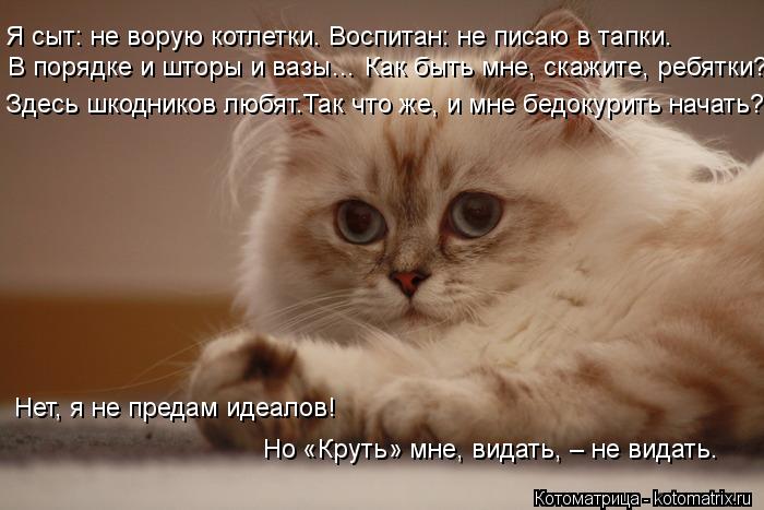 В порядке и шторы и вазы… Как быть мне, скажите, ребятки? Я сыт: не ворую котлетки. Воспитан: не писа... Котоматрица: В порядке и шторы и вазы… Как быть мне, скажите, ребятки? Я сыт: не ворую котлетки. Воспитан: не писаю в тапки. Здесь шкодников любят.Так что ж