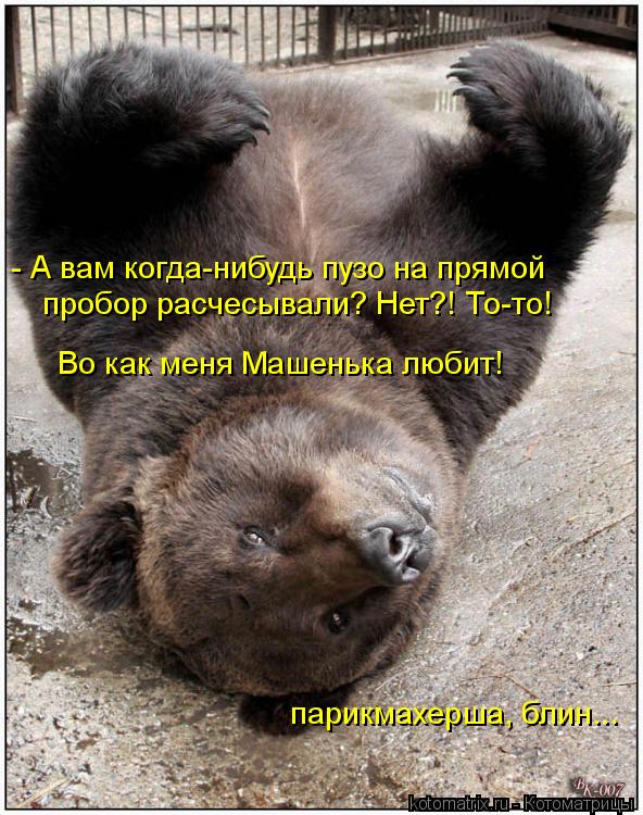 - А вам когда-нибудь пузо на прямой пробор расчесывали? Нет?! То-то! Во как меня Машенька любит! пари... Котоматрица: - А вам когда-нибудь пузо на прямой пробор расчесывали? Нет?! То-то! Во как меня Машенька любит! парикмахерша, блин...