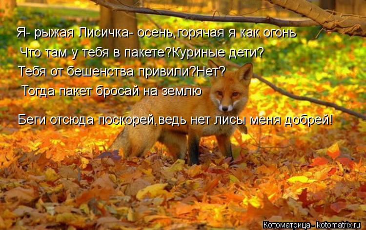 Что там у тебя в пакете?Куриные дети? Тебя от бешенства привили?Нет? Я- рыжая Лисичка- осень,горячая ... Котоматрица: Что там у тебя в пакете?Куриные дети? Тебя от бешенства привили?Нет? Я- рыжая Лисичка- осень,горячая я как огонь Тогда пакет бросай на землю Б