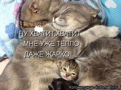 НУ ХВАТИТ,ХВАТИТ МНЕ УЖЕ ТЕПЛО ДАЖЕ ЖАРКО... Котоматрица: НУ ХВАТИТ,ХВАТИТ МНЕ УЖЕ ТЕПЛО ДАЖЕ ЖАРКО