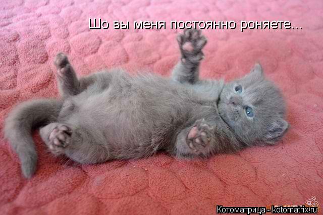 Шо вы меня постоянно роняете...... Котоматрица: Шо вы меня постоянно роняете...