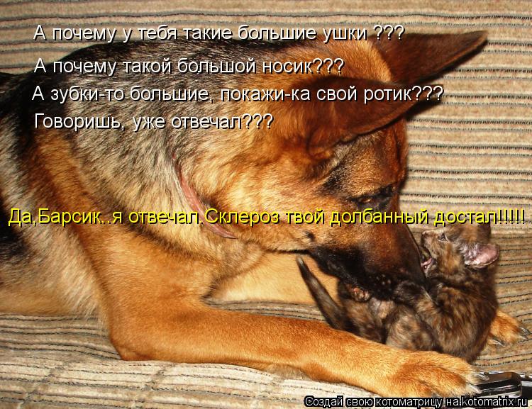 А почему у тебя такие большие ушки ??? А почему такой большой носик??? А зубки-то большие, покажи-ка ... Котоматрица: А почему у тебя такие большие ушки ??? А почему такой большой носик??? А зубки-то большие, покажи-ка свой ротик??? Говоришь, уже отвечал??? Да,Барс