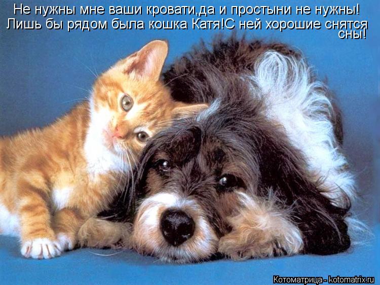 Не нужны мне ваши кровати,да и простыни не нужны! Лишь бы рядом была кошка Катя!С ней хорошие снятся ... Котоматрица: Не нужны мне ваши кровати,да и простыни не нужны! Лишь бы рядом была кошка Катя!С ней хорошие снятся сны!