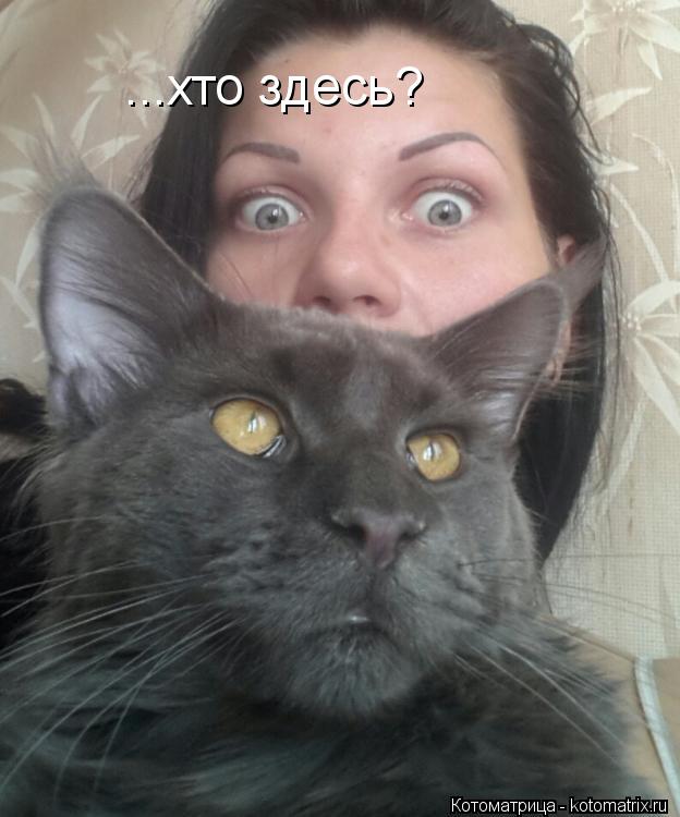 ...хто здесь?... Котоматрица: ...хто здесь?