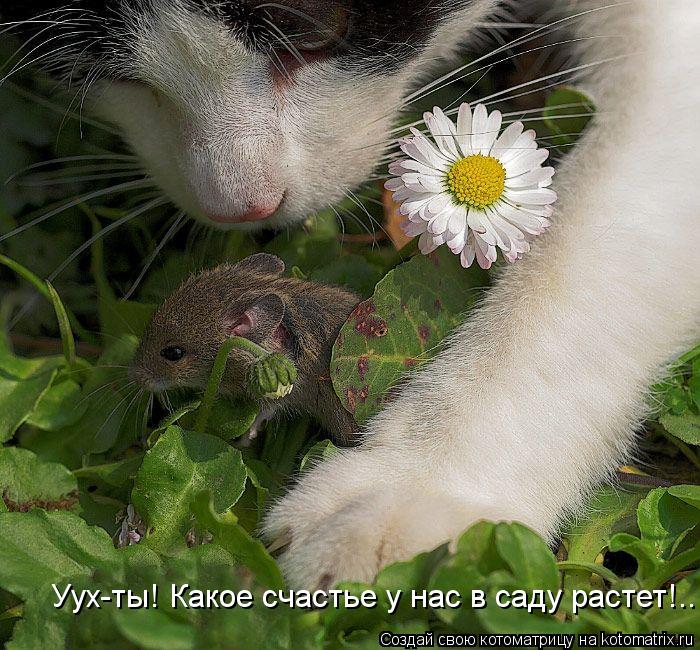 Уух-ты! Какое счастье у нас в саду растет!..... Котоматрица: Уух-ты! Какое счастье у нас в саду растет!..