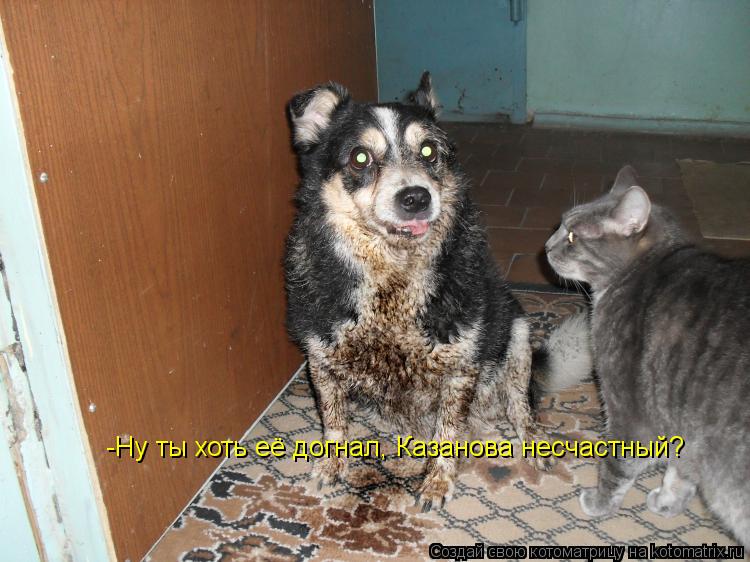 -Ну ты хоть её догнал, Казанова несчастный?... Котоматрица: -Ну ты хоть её догнал, Казанова несчастный?