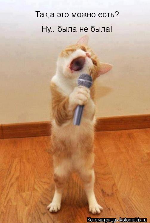 Так,а это можно есть? Ну.. была не была!... Котоматрица: Так,а это можно есть? Ну.. была не была!