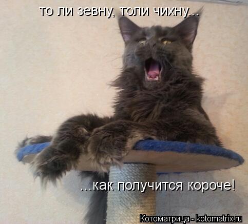 то ли зевну, толи чихну... ...как получится короче!... Котоматрица: то ли зевну, толи чихну... ...как получится короче!