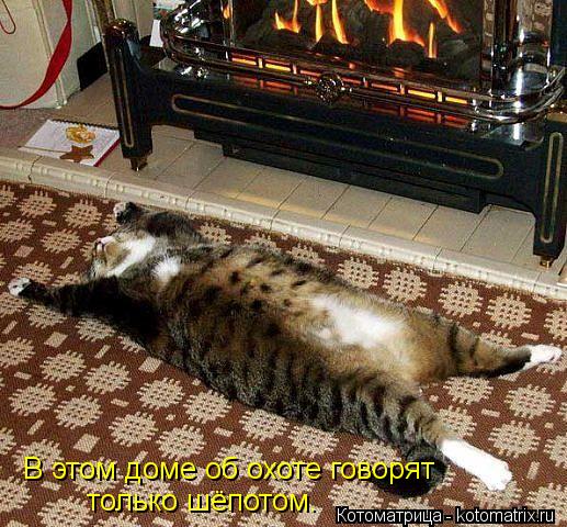 В этом доме об охоте говорят только шёпотом.... Котоматрица: В этом доме об охоте говорят только шёпотом.