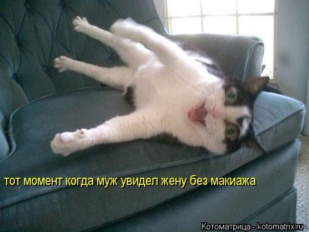 тот момент когда муж увидел жену без макиажа... Котоматрица: тот момент когда муж увидел жену без макиажа
