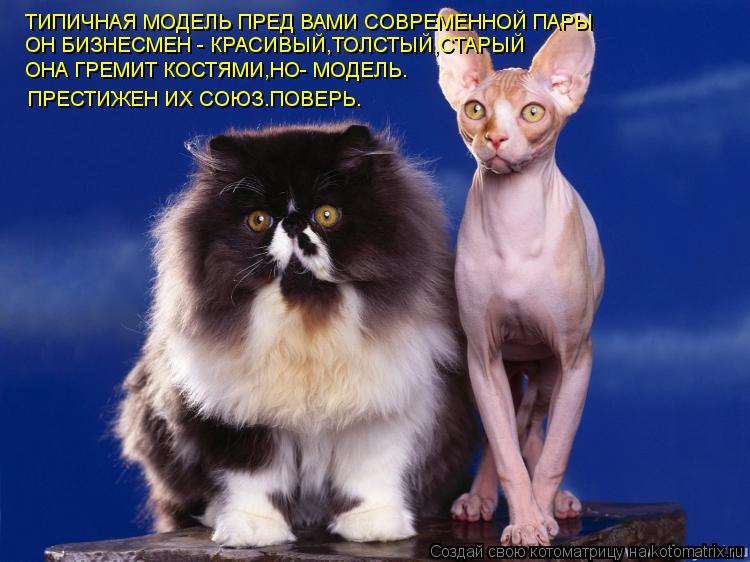 ТИПИЧНАЯ МОДЕЛЬ ПРЕД ВАМИ СОВРЕМЕННОЙ ПАРЫ ОН БИЗНЕСМЕН - КРАСИВЫЙ,ТОЛСТЫЙ,СТАРЫЙ ОНА ГРЕМИТ КОСТЯМИ,... Котоматрица: ТИПИЧНАЯ МОДЕЛЬ ПРЕД ВАМИ СОВРЕМЕННОЙ ПАРЫ ОН БИЗНЕСМЕН - КРАСИВЫЙ,ТОЛСТЫЙ,СТАРЫЙ ОНА ГРЕМИТ КОСТЯМИ,НО- МОДЕЛЬ. ПРЕСТИЖЕН ИХ СОЮЗ.ПОВЕРЬ.