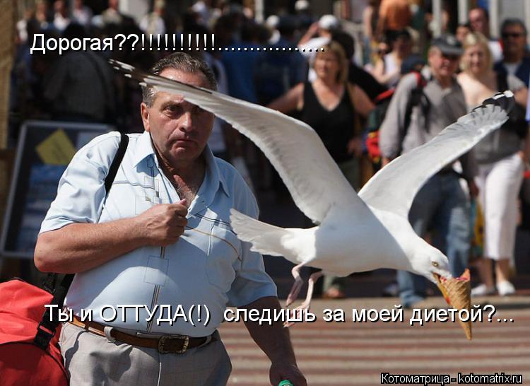 Котоматрица: Дорогая??!!!!!!!!!!................. Ты и ОТТУДА(!)  следишь за моей диетой?...