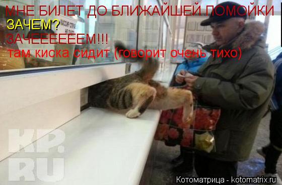МНЕ БИЛЕТ ДО БЛИЖАЙШЕЙ ПОМОЙКИ ЗАЧЕМ? ЗАЧЕЕЕЕЕЕМ!!! там киска сидит (говорит очень тихо)... Котоматрица: МНЕ БИЛЕТ ДО БЛИЖАЙШЕЙ ПОМОЙКИ ЗАЧЕМ? ЗАЧЕЕЕЕЕЕМ!!! там киска сидит (говорит очень тихо)