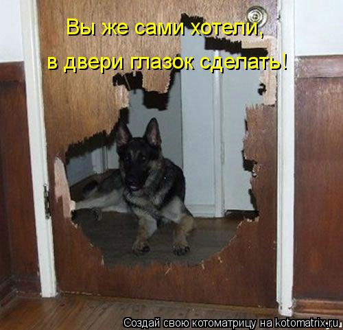 Вы же сами хотели, в двери глазок сделать!... Котоматрица: Вы же сами хотели, в двери глазок сделать!