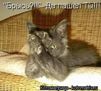 "Брысь?!!" Да пашел Ты!!!... Котоматрица: "Брысь?!!" Да пашел Ты!!!
