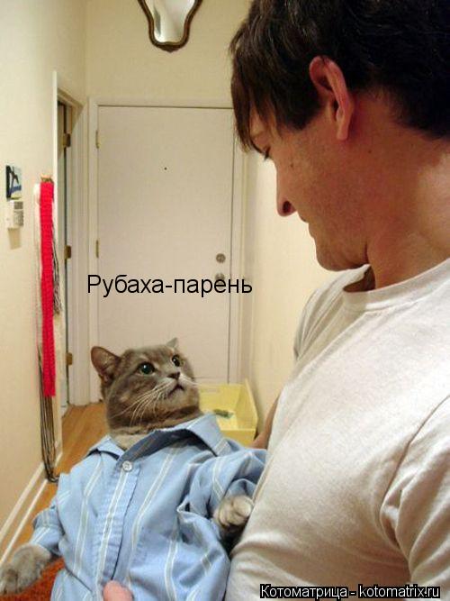 Рубаха-парень... Котоматрица: Рубаха-парень