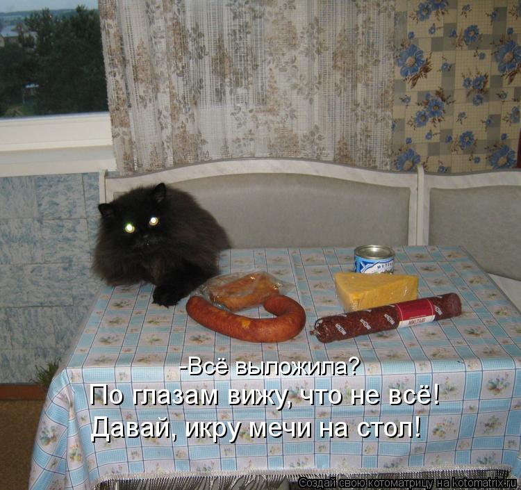 -Всё выложила? По глазам вижу, что не всё! Давай, икру мечи на стол!... Котоматрица: -Всё выложила? По глазам вижу, что не всё! Давай, икру мечи на стол!