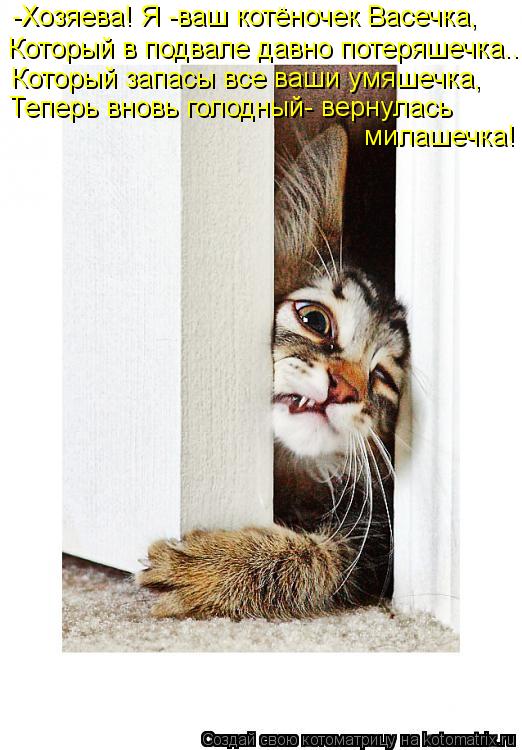 -Хозяева! Я -ваш котёночек Васечка, Который в подвале давно потеряшечка... Который запасы все ваши у... Котоматрица: -Хозяева! Я -ваш котёночек Васечка, Который в подвале давно потеряшечка... Который запасы все ваши умяшечка, Теперь вновь голодный- вернулас