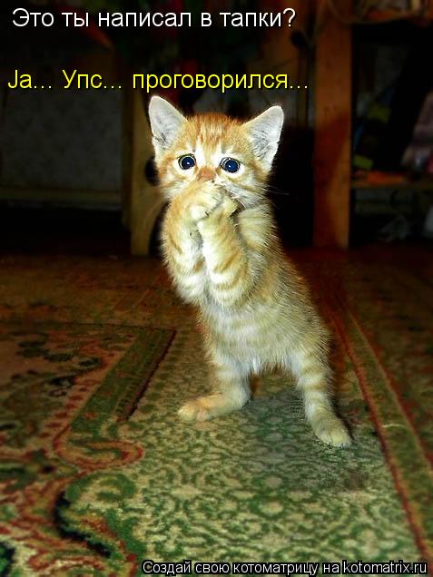 Это ты написал в тапки? Ja... Упс... проговорился...... Котоматрица: Это ты написал в тапки? Ja... Упс... проговорился...