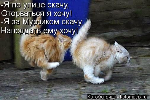 -Я по улице скачу, Оторваться я хочу! -Я за Мурзиком скачу, Наподдать ему хочу!... Котоматрица: -Я по улице скачу, Оторваться я хочу! -Я за Мурзиком скачу, Наподдать ему хочу!