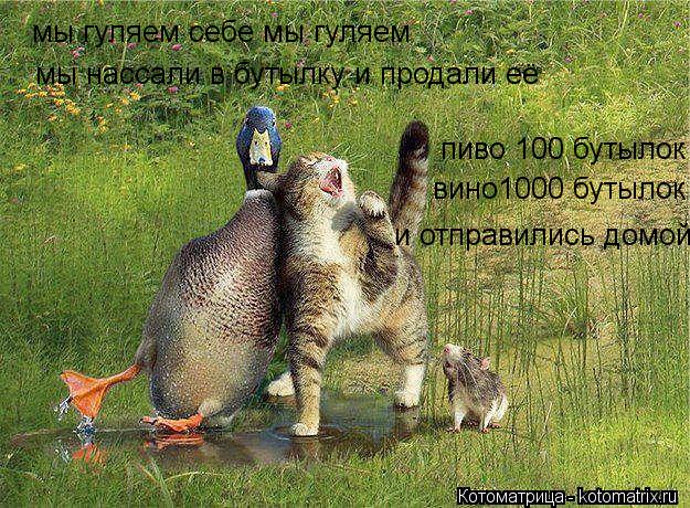 мы гуляем себе мы гуляем мы нассали в бутылку и продали её пиво 100 бутылок вино1000 бутылок и отправ... Котоматрица: мы гуляем себе мы гуляем мы нассали в бутылку и продали её пиво 100 бутылок вино1000 бутылок и отправились домой