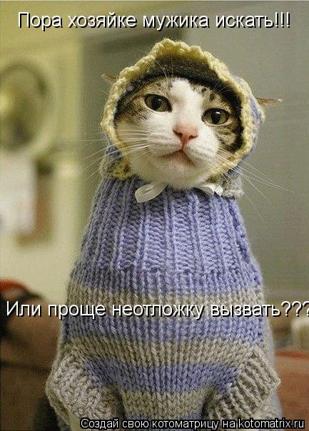 Пора хозяйке мужика искать!!! Или проще неотложку вызвать????... Котоматрица: Пора хозяйке мужика искать!!! Или проще неотложку вызвать????