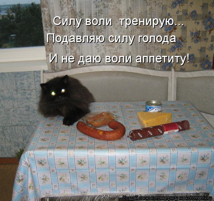 Силу воли тренирую... Подавляю силу голода И не даю воли аппетиту!... Котоматрица: Силу воли тренирую... Подавляю силу голода И не даю воли аппетиту!