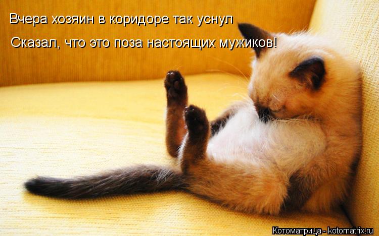 Вчера хозяин в коридоре так уснул Сказал, что это поза настоящих мужиков!... Котоматрица: Вчера хозяин в коридоре так уснул Сказал, что это поза настоящих мужиков!