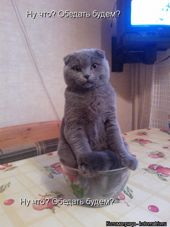 Ну что? Обедать будем? Ну что? Обедать будем?... Котоматрица: Ну что? Обедать будем? Ну что? Обедать будем?
