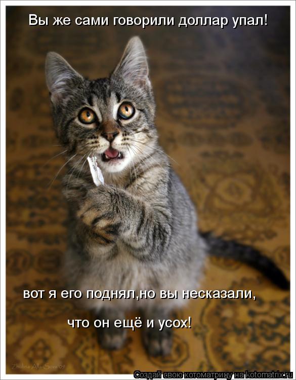 Вы же сами говорили доллар упал! вот я его поднял,но вы несказали, что он ещё и усох!... Котоматрица: Вы же сами говорили доллар упал! вот я его поднял,но вы несказали, что он ещё и усох!