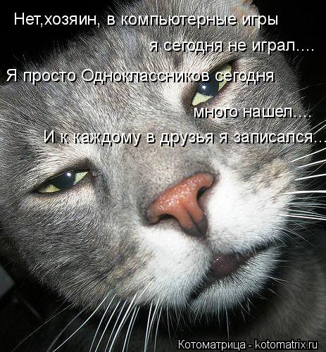 Нет,хозяин, в компьютерные игры я сегодня не играл.... Я просто Одноклассников сегодня много нашел...... Котоматрица: Нет,хозяин, в компьютерные игры я сегодня не играл.... Я просто Одноклассников сегодня много нашел.... И к каждому в друзья я записался...