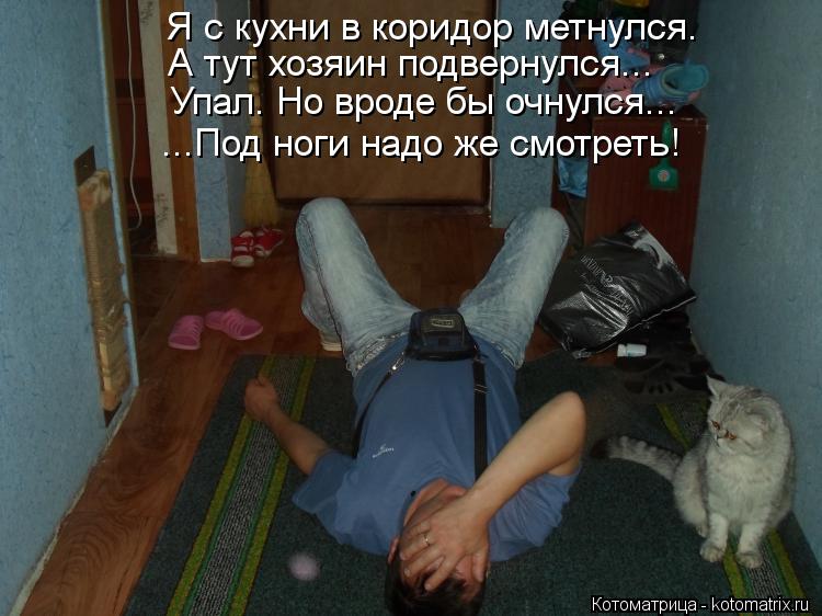 ...Под ноги надо же смотреть! Я с кухни в коридор метнулся. А тут хозяин подвернулся... Упал. Но врод... Котоматрица: ...Под ноги надо же смотреть! Я с кухни в коридор метнулся. А тут хозяин подвернулся... Упал. Но вроде бы очнулся...