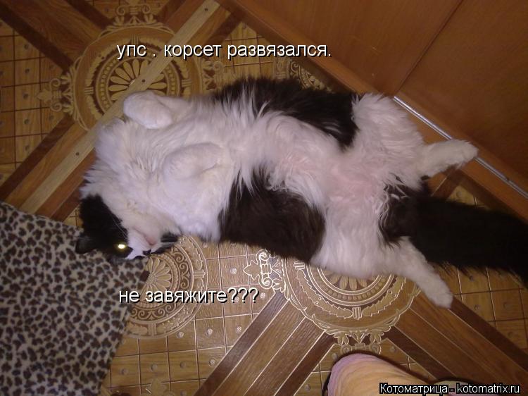 упс . корсет развязался. не завяжите???... Котоматрица: упс . корсет развязался. не завяжите???