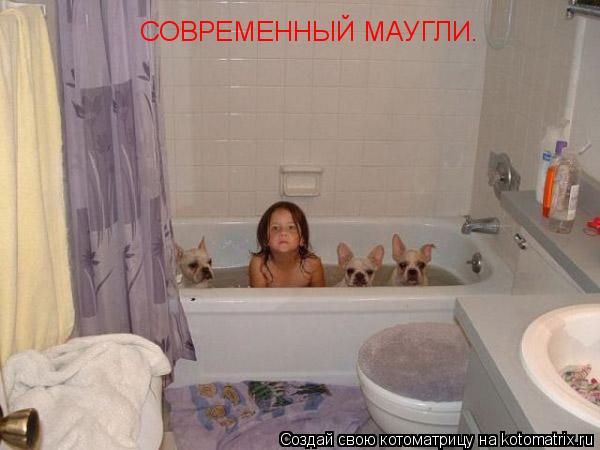 СОВРЕМЕННЫЙ МАУГЛИ.... Котоматрица: СОВРЕМЕННЫЙ МАУГЛИ.