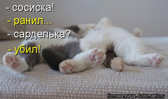 - сосиска! - ранил... - сарделька? - убил!... Котоматрица: - сосиска! - ранил... - сарделька? - убил!
