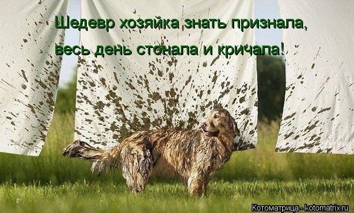 Шедевр хозяйка знать признала, весь день стонала и кричала!... Котоматрица: Шедевр хозяйка знать признала, весь день стонала и кричала!