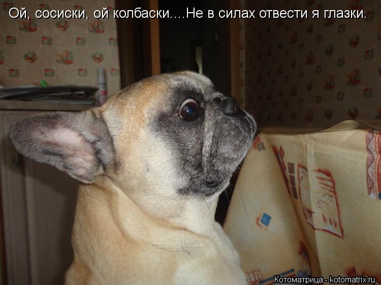Ой, сосиски, ой колбаски....Не в силах отвести я глазки.... Котоматрица: Ой, сосиски, ой колбаски....Не в силах отвести я глазки.