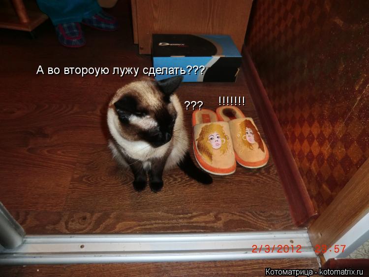 А во второую лужу сделать??? ??? !!!!!!!... Котоматрица: А во второую лужу сделать??? ??? !!!!!!!