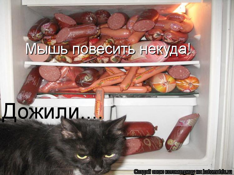 Дожили.... Мышь повесить некуда!... Котоматрица: Дожили.... Мышь повесить некуда!