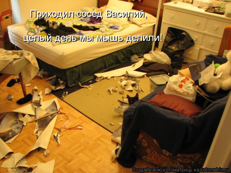 Приходил сосед Василий, целый день мы мышь делили!... Котоматрица: Приходил сосед Василий, целый день мы мышь делили!