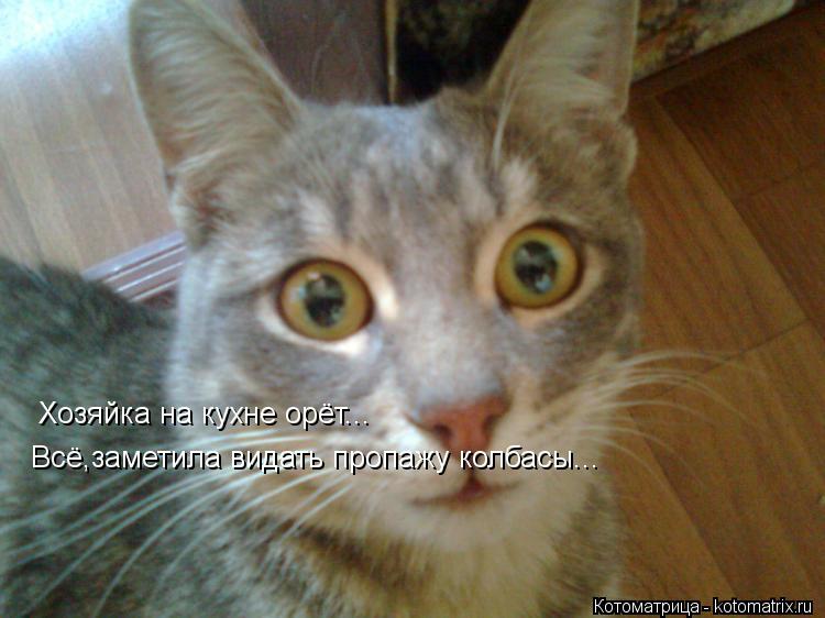 Хозяйка на кухне орёт... Всё,заметила видать пропажу колбасы...... Котоматрица: Хозяйка на кухне орёт... Всё,заметила видать пропажу колбасы...