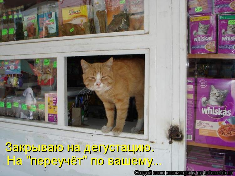 Закрываю на дегустацию. На "переучёт" по вашему...... Котоматрица: Закрываю на дегустацию. На "переучёт" по вашему...