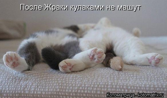 После Жраки кулаками не машут... Котоматрица: После Жраки кулаками не машут